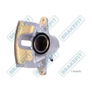 BCA1192 APEC