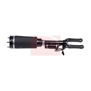 AAS1103 APEC