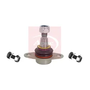 AST0218 APEC