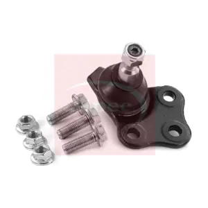 AST0258 APEC