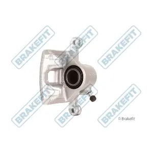 BCA1303 APEC