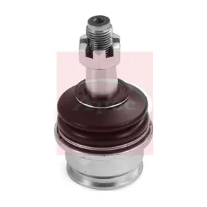 AST0311 APEC