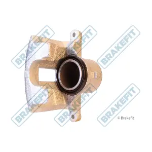 BCA1190 APEC