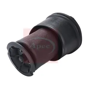 AAS1011 APEC