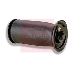 AAS1005 APEC