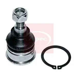 AST0025 APEC