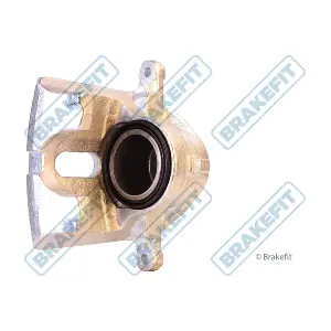 BCA1116 APEC