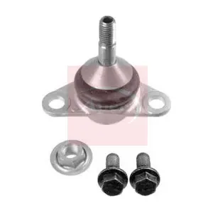 AST0077 APEC