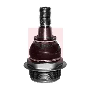 AST0110 APEC