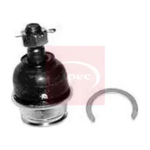AST0203 APEC