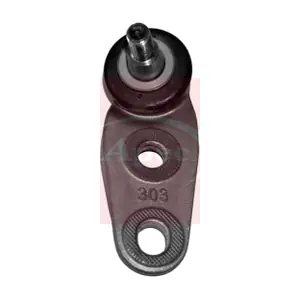 AST0224 APEC