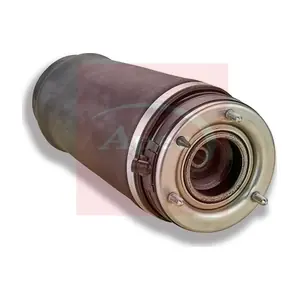 AAS1010 APEC