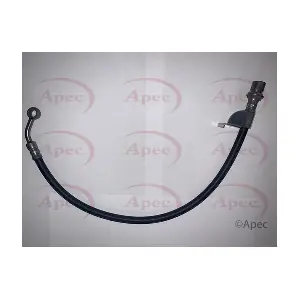 HOS4310 APEC