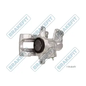 BCA1393 APEC