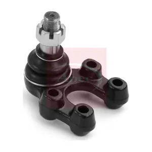 AST0342 APEC
