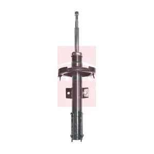 ASA1702 APEC