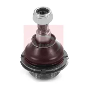 AST0261 APEC
