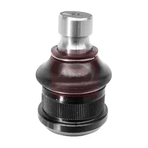 AST0033 APEC