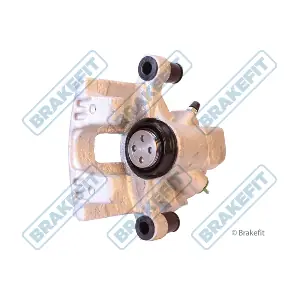 BCA1134 APEC
