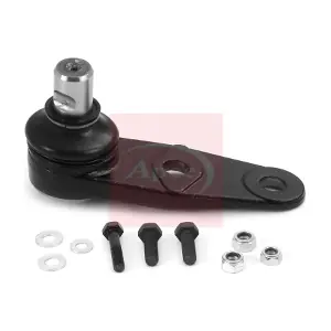 AST0191 APEC