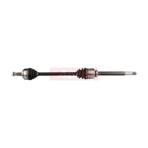 ADS1125R APEC