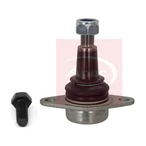AST0263 APEC