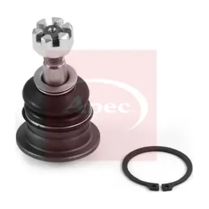 AST0220 APEC