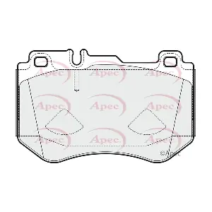 APEC PAD2024