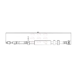 HOS4146 APEC