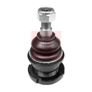 AST0037 APEC
