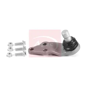 AST0318 APEC