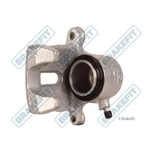 BCA1153 APEC