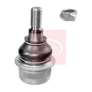 AST0035 APEC