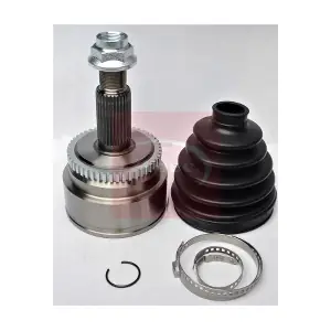 ACV1186 APEC