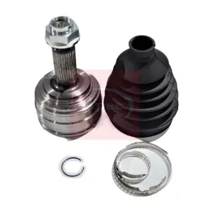 ACV1179 APEC