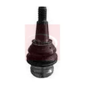 AST0205 APEC