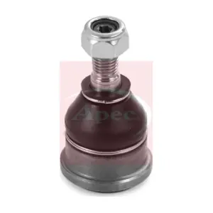 AST0273 APEC