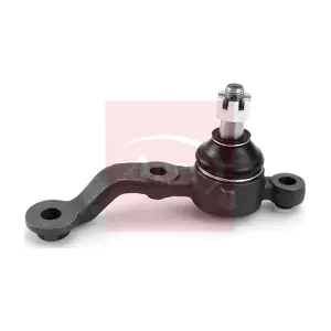 AST0307 APEC
