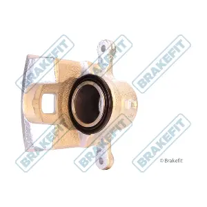 BCA1238 APEC