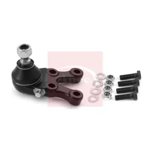 AST0249 APEC