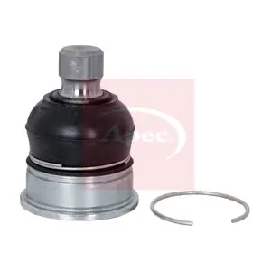 AST0178 APEC