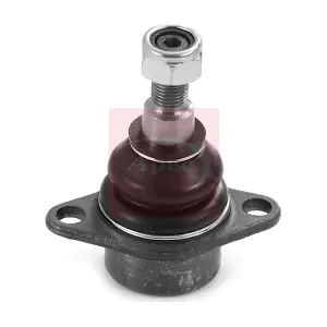 AST0149 APEC