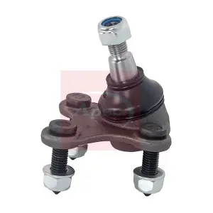 AST0001 APEC