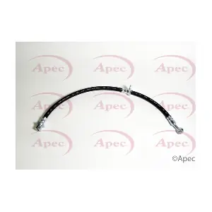 HOS4393 APEC