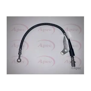 HOS4308 APEC