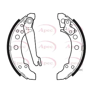 APEC SHU 300