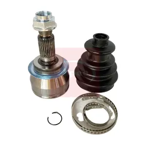 ACV1029 APEC