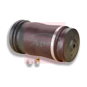 AAS1006 APEC