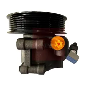 APS1027 APEC