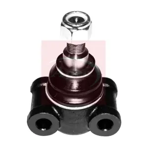 AST0259 APEC